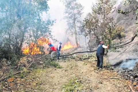 incendio forestal