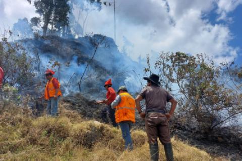 Presentan proyecto de ley sobre los incendios forestales