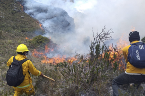 El gobierno asegura que se ha controlado el 60% de incendios forestales.