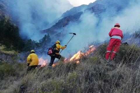 Incendios forestales.