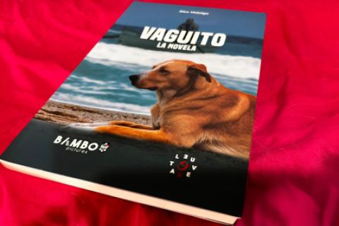 La novela de Vaguito.