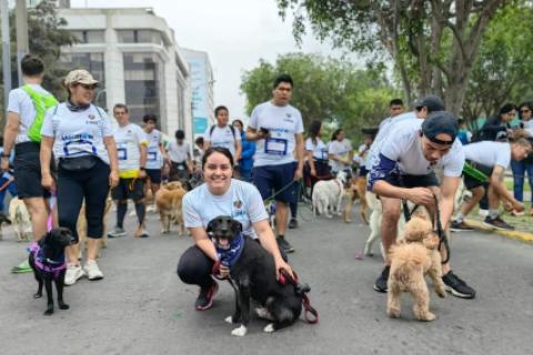 El evento se llevará a cabo este domingo 15 de septiembre.