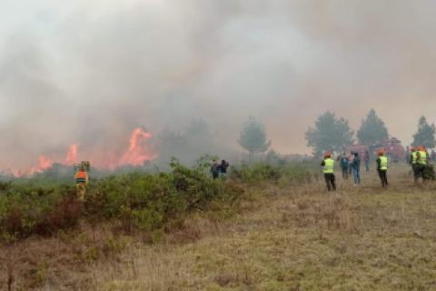 Incendios forestales en Amazonas