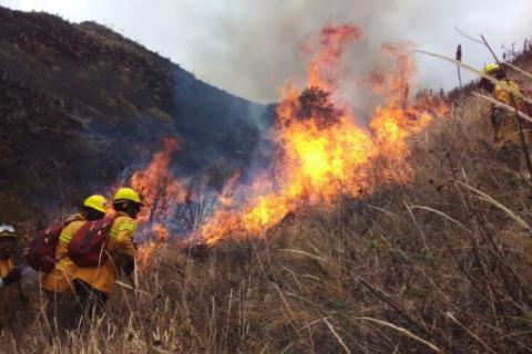 incendio forstal 