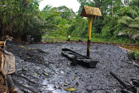 Contaminación en la amazonía.