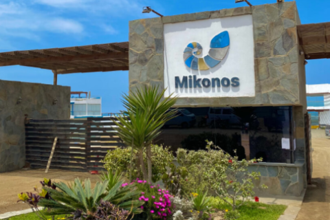 Condominio Mikonos