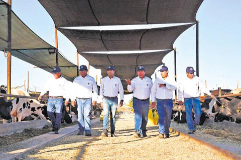 Asesores de campo. El equipo de Gloria presente en Majes, Arequipa.