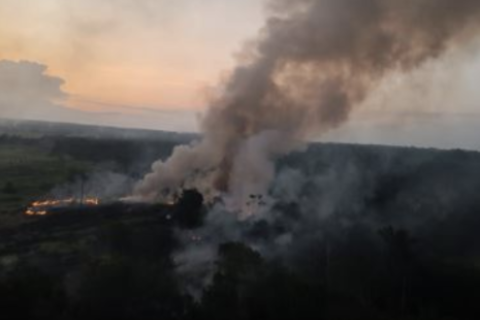 Incendio forestal