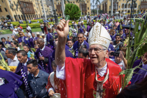 Carlos Castillo Mattasoglio es el nuevo cardenal del Perú. Foto: ANDINA.