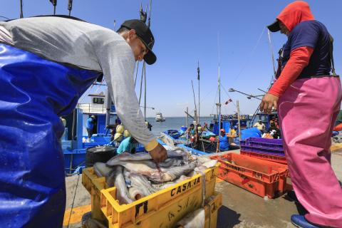 Sanipes ahora es la Autoridad Nacional de Sanidad e Inocuidad en Pesca y Acuicultura