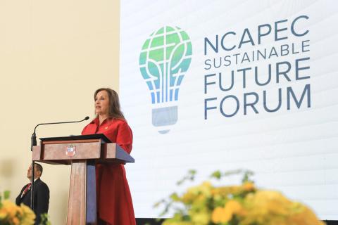 Dina Boluarte en APEC 2024. (Presidencia)