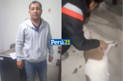 Policía asesina a perrita en Chiclayo. (Captura/Latina)