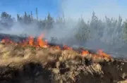 Al menos una víctima mortal y personas afectadas por la inhalación de humo es el saldo de una serie de incendios forestales en el norte del país.