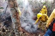 bomberos forestales