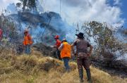 Presentan proyecto de ley sobre los incendios forestales