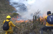 El gobierno asegura que se ha controlado el 60% de incendios forestales.