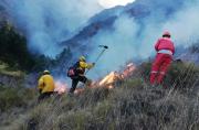 Incendios forestales.