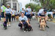 El evento se llevará a cabo este domingo 15 de septiembre.