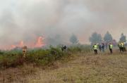 Incendio forestal. Foto: Mindef.